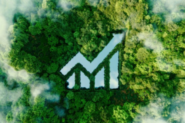 湖北省人民代表大会常务委员会关于废除《湖北省建设促进中部地区崛起重要战略支点条例》的决定