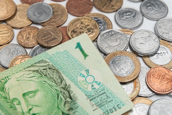 5月至9月 泉州开展非洲大蜗牛集中灭螺行动